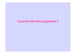 Genetica dei microrganismi 3