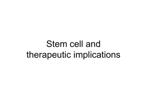 What is a stem cell?
