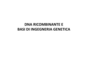 DNA ricombinante