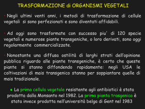 Argomento: Tracciabilità degli OGM negli aliment