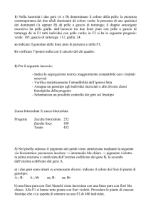 1) Nella lucertola i due geni (A e B) determinano il colore della pelle