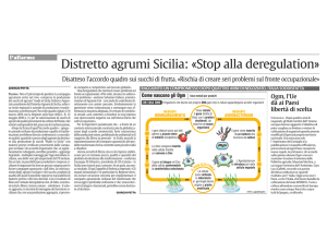 Distretto agrumi Sicilia: «Stop alla deregulation