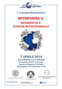 mitofusina 2 - Fondazione IRCCS Ca` Granda