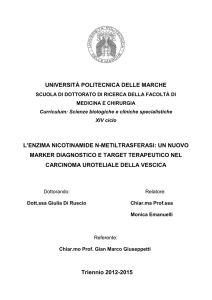 Tesi_Di Ruscio