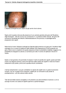 Test per la Calvizie–Alopecia Androgenica maschile e femminile