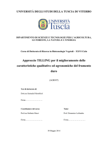 PhD tesi Palombieri Samuela