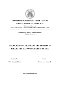 regolazione circadiana del sistema di riparo del danno ossidativo al