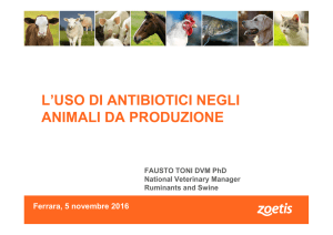 L`uso degli antibiotici negli animali da produzione