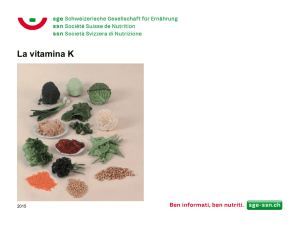 Vitamina K PDF