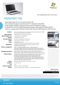VGN-FW11M