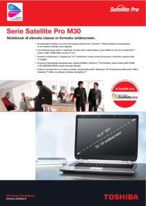 Serie Satellite Pro M30