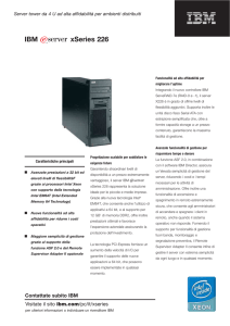 IBM xSeries 226