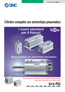 Cilindro compatto con ammortizzo pneumatico