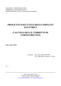 PROGETTO ESECUTIVO DEGLI IMPIANTI ELETTRICI CALCOLO