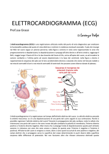 elettrocardiogramma (ecg)