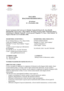 malaria diagnosi microscopica - Centro Malattie Tropicali