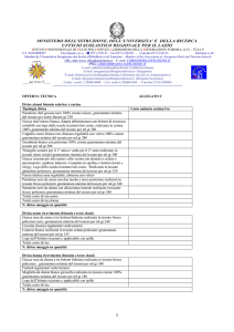 Allegato C scheda tecnica divise-1