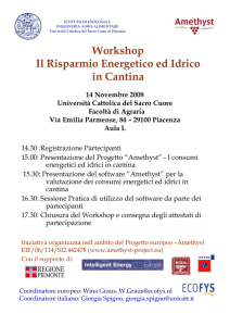 Workshop Il Risparmio Energetico ed Idrico in Cantina