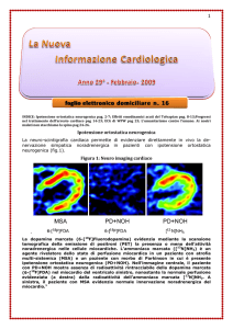 febbraio 2009 - Nuova Informazione Cardiologica