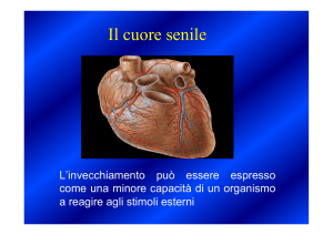 Il cuore senile