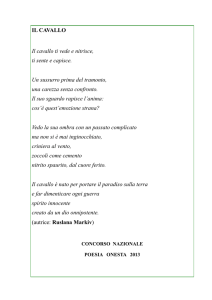 IL CAVALLO Il cavallo ti vede e nitrisce, ti sente e capisce. Un