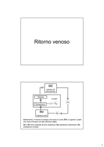 Gri 15) Ritorno venoso