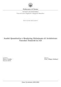 Analisi Quantitativa e Rendering Ottimizzato di Architetture Vascolari