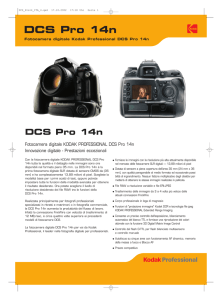 DCS Pro 14n