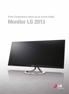 Monitor LG 2013