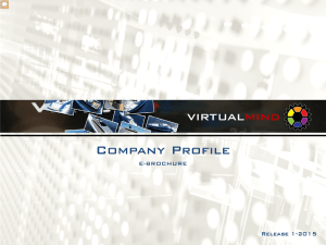 Company Profile virtualmind