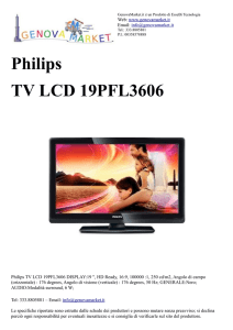 Philips TV LCD 19PFL3606