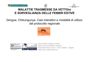Dengue - SISP - Viaggiatori, malattie infettive