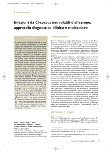 Infezioni da Circovirus nei volatili d`affezione: approccio diagnostico