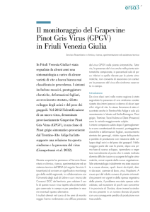 Il monitoraggio del Grapevine Pinot Gris Virus (GPGV) in Friuli