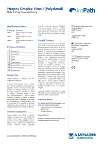 Herpes Simplex Virus I (Polyclonal)