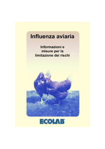 Vogelgrippe_Broschuere ital