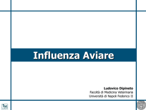 Influenza Aviare_Spe..