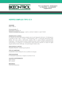 HERPES VIRUS 1/2 IgM