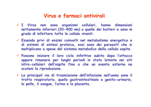 Antivirali - Scuola1024