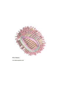 Influenza aviaria istruzioni per l`uso