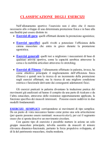 classificazione degli esercizi