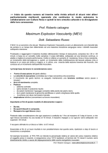 Maximum Explosion Vascularity (MEV)