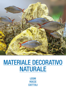 materiale decorativo naturale