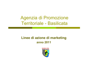 Linee di azione di marketing 2011