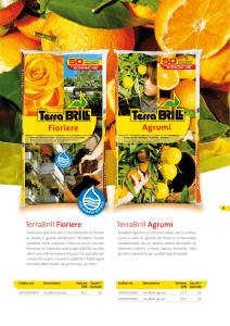 TerraBrill Fioriere TerraBrill Agrumi