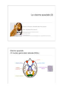 LezPMP-Visione spaziale(3).key