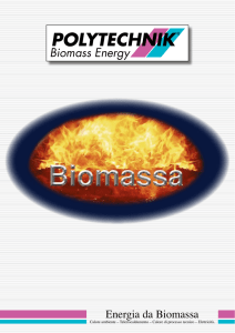 POLYTECHNIK Biomass Energy