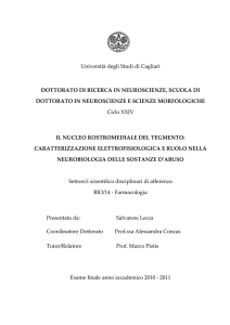 Universit&agrave; degli Studi di Cagliari DOTTORATO DI