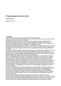 Il funzionamento del cervello (parte seconda)