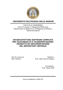 Tesi di Laurea - Sturari Mirco